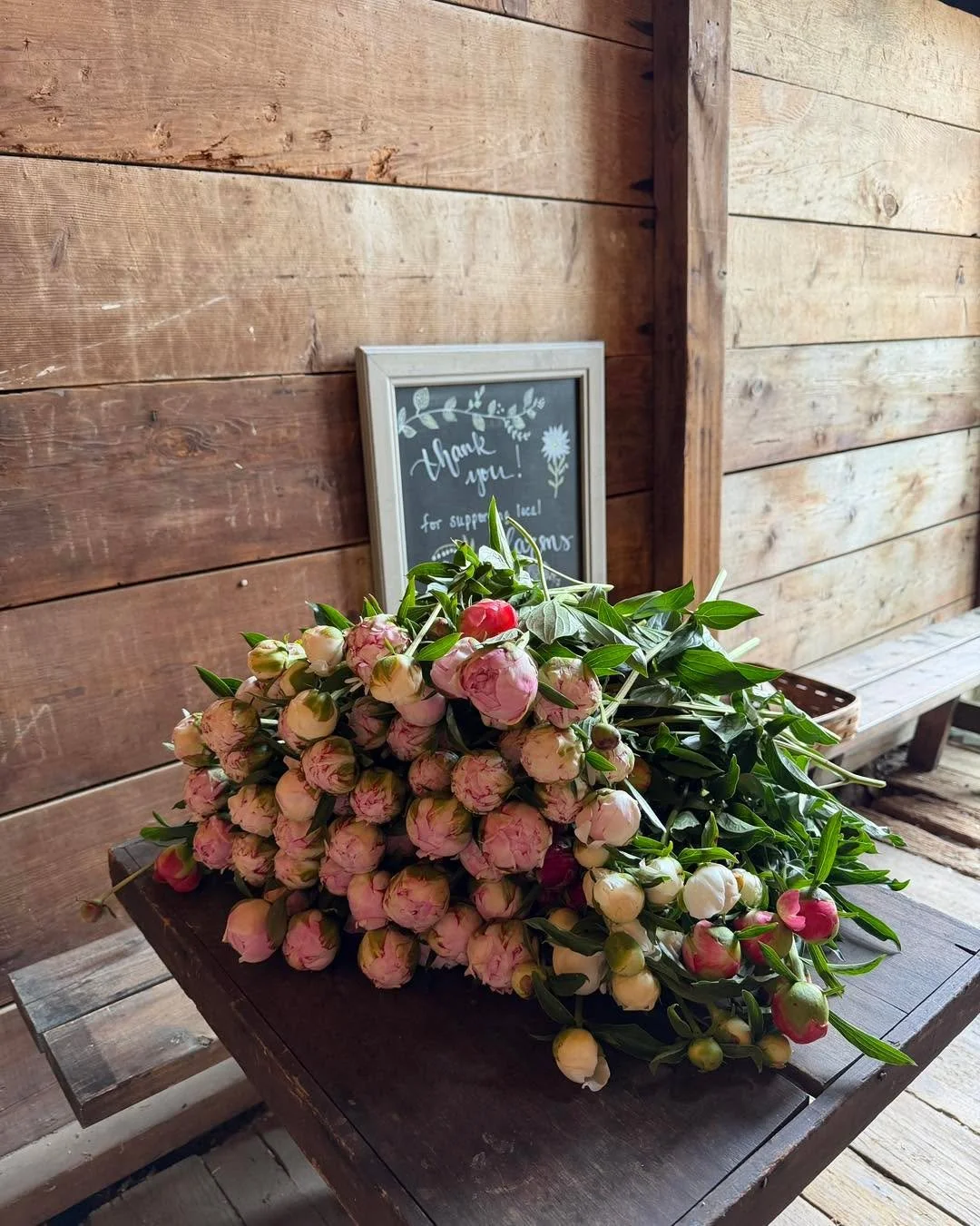 Peony pop up shop Sunday 9-2
Coral Sunset 
Sarah Bernhardt 
$5/stem while supplies last

Thank you for supporting women-owned, small farms! 🌸🌸🌸