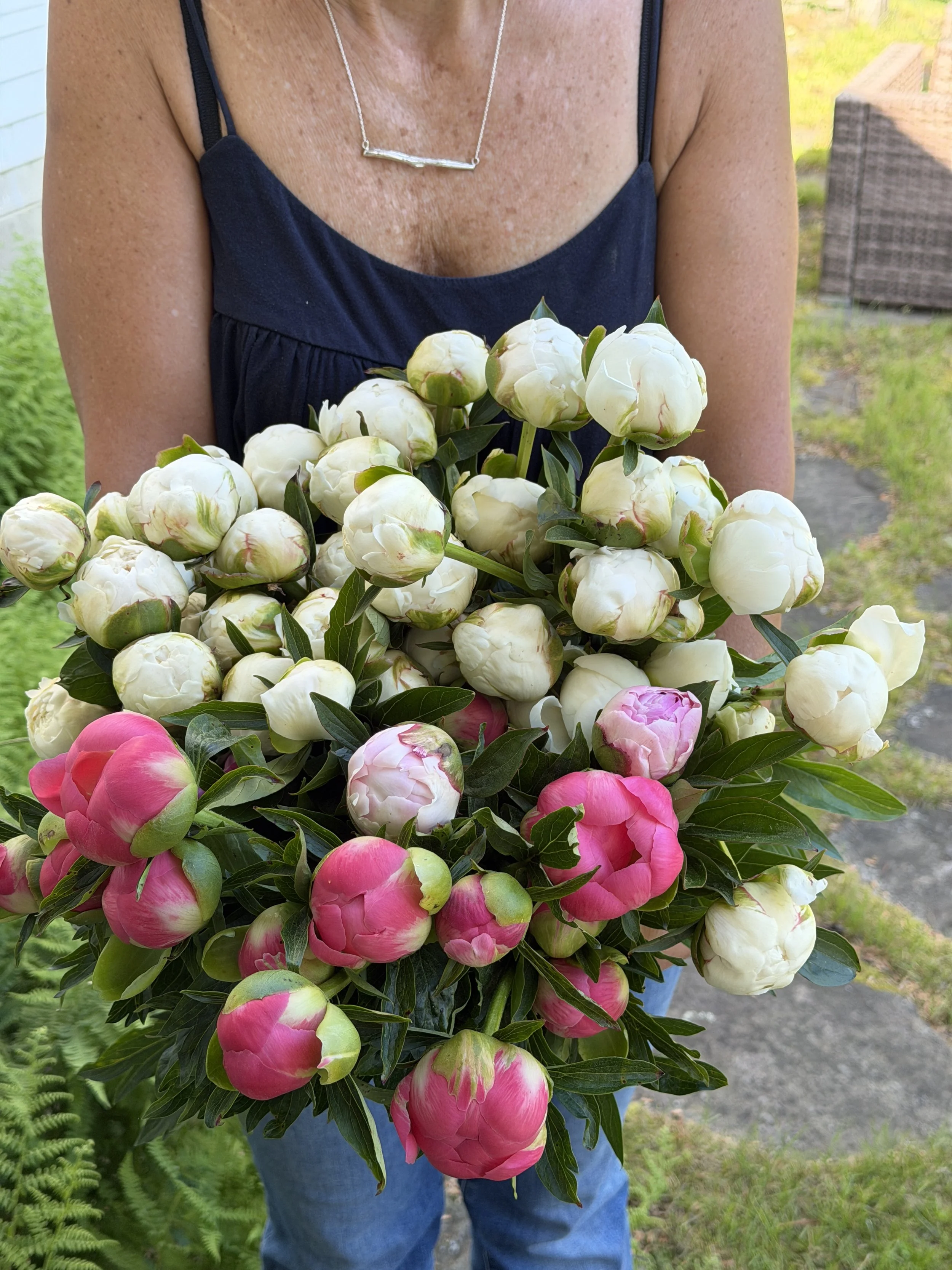 Peony Subscription 2027