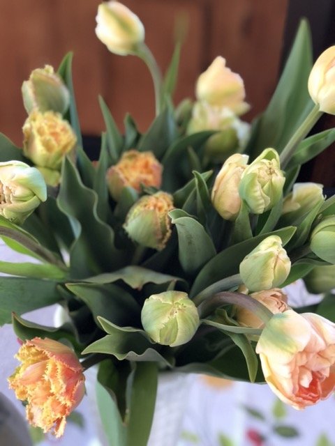 IMG_0668 Medium.jpeg