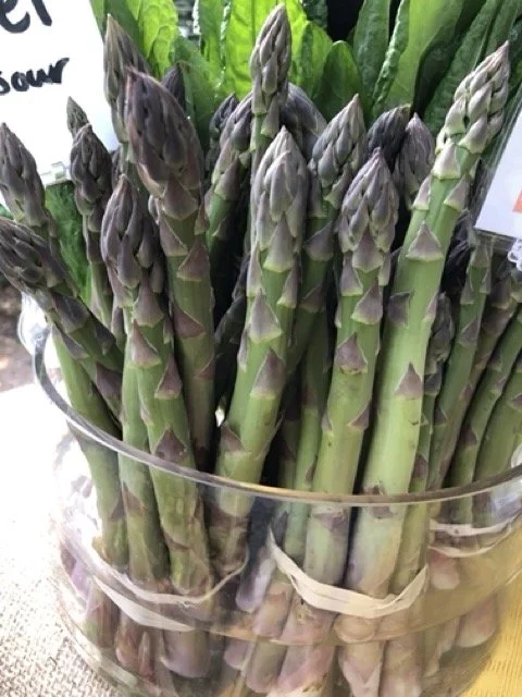 IMG_0733 Medium.jpeg