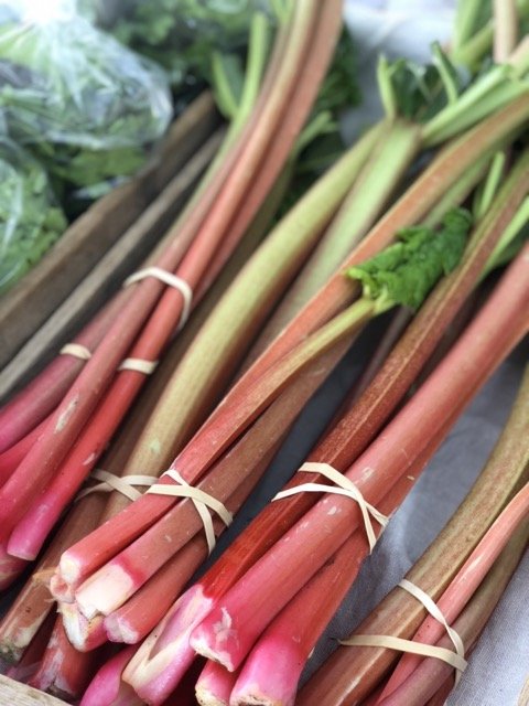 IMG_0737 Medium.jpeg