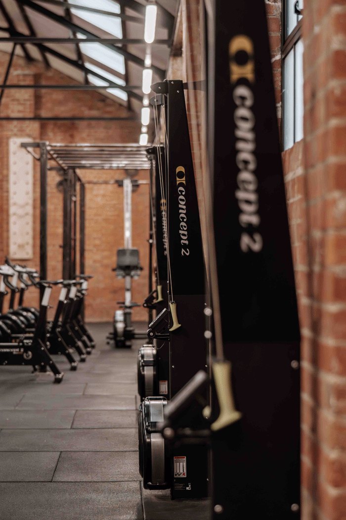 Ski Ergs and Bikes in a Gym