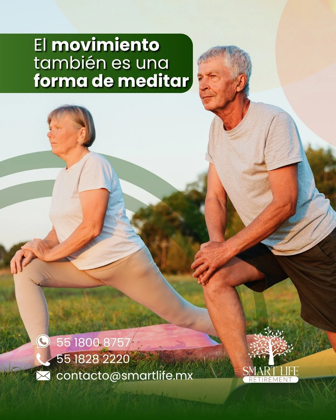 🧘&zwj;♂️ &iquest;Sab&iacute;as que el yoga ayuda a mejorar la movilidad, el equilibrio y la memoria en adultos mayores?
M&aacute;s que una rutina f&iacute;sica, el yoga es una pr&aacute;ctica integral que estimula el cuerpo, calma la mente y fortale