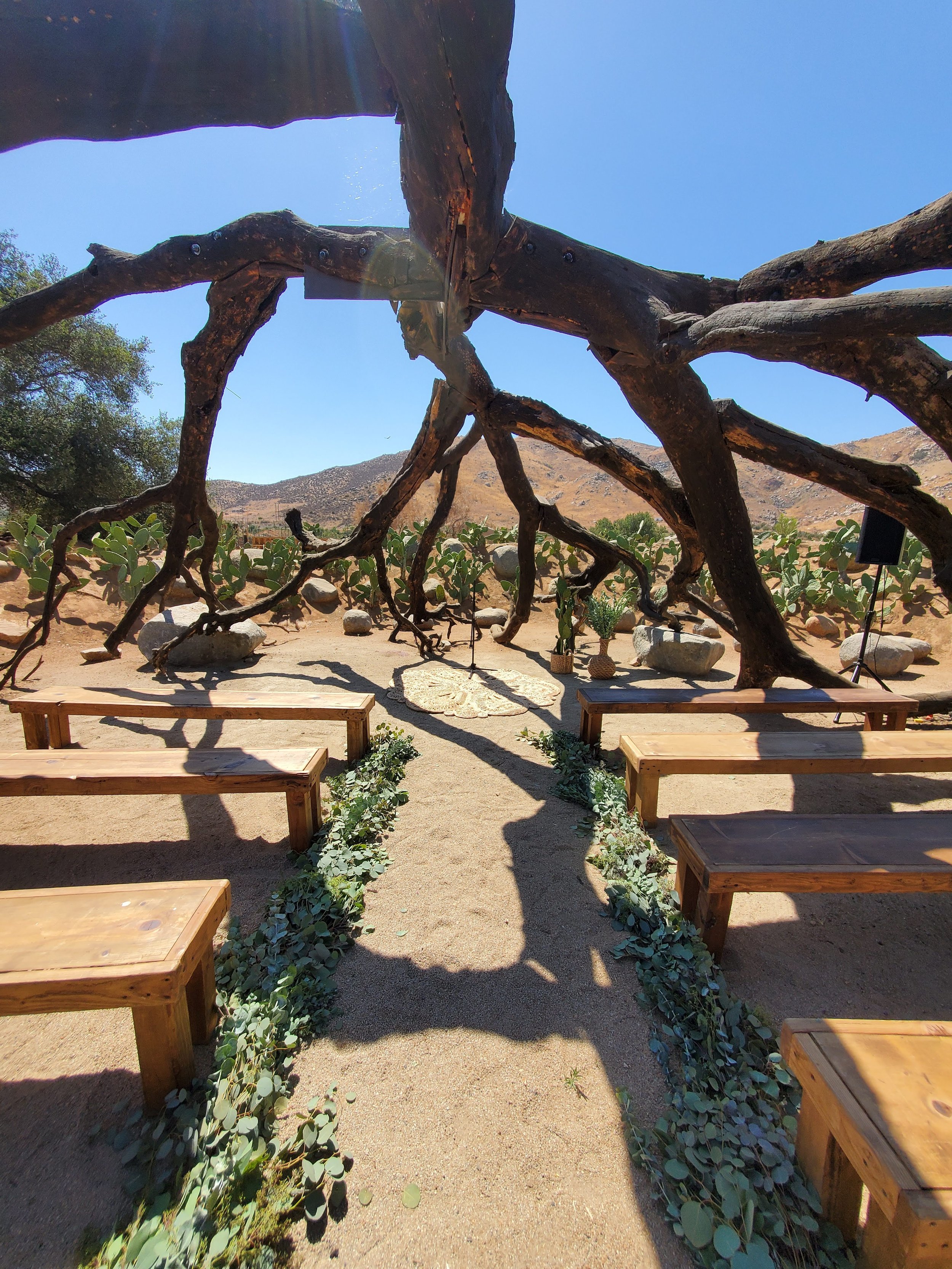 Bruma wedding Valle de Guadalupe