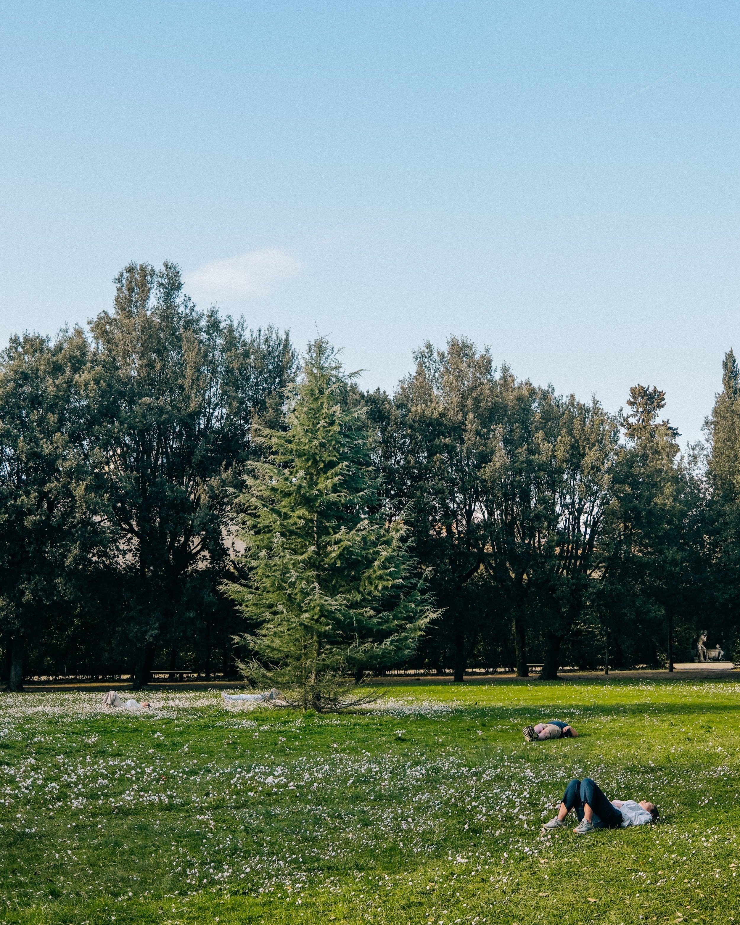 Forest Bathing began in Japan in the 1970s and is now practiced globally, often referred to as “Nature Therapy” due to its documented benefits for physical and mental wellbeing.