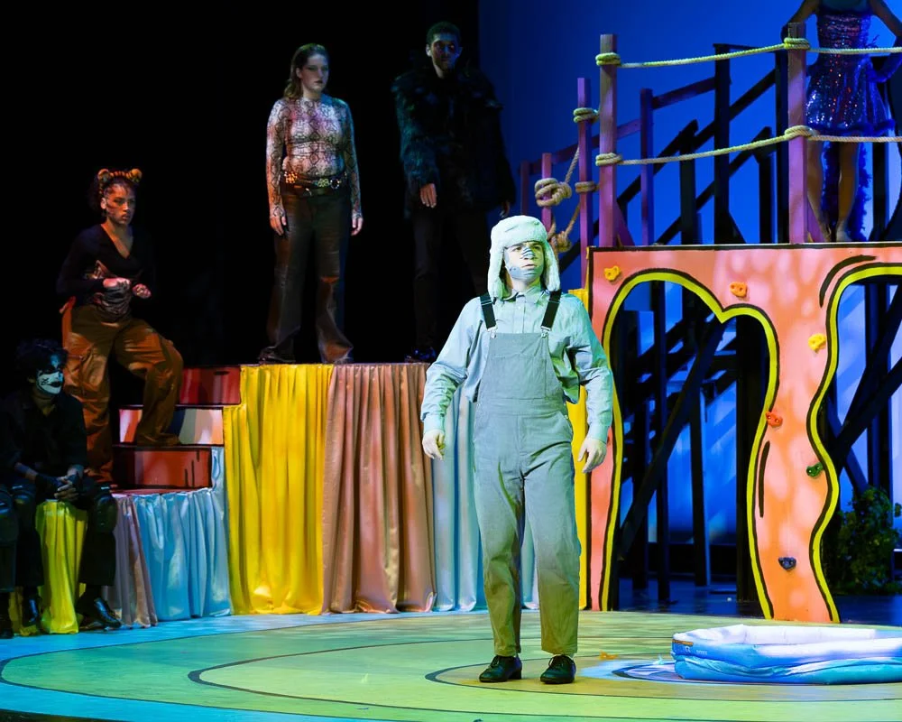 IHSSeussical-92 (70).jpg