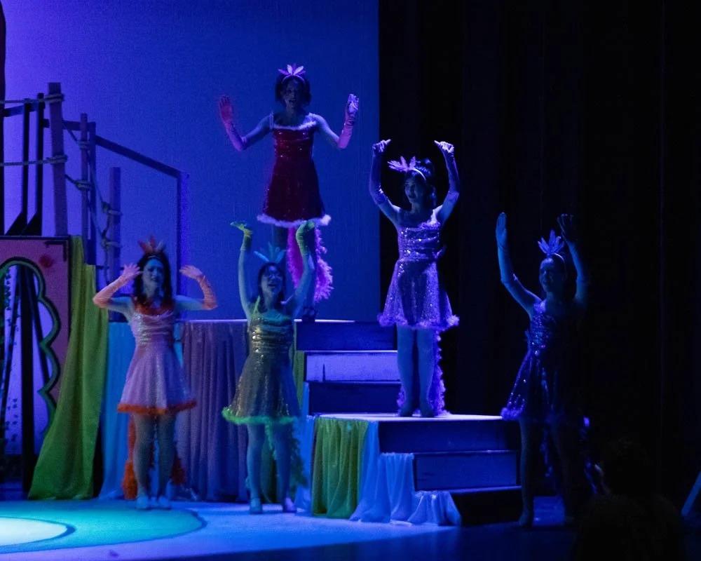 IHSSeussical-90 (20).jpg