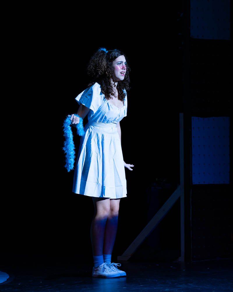 IHSSeussical-59 (124).jpg