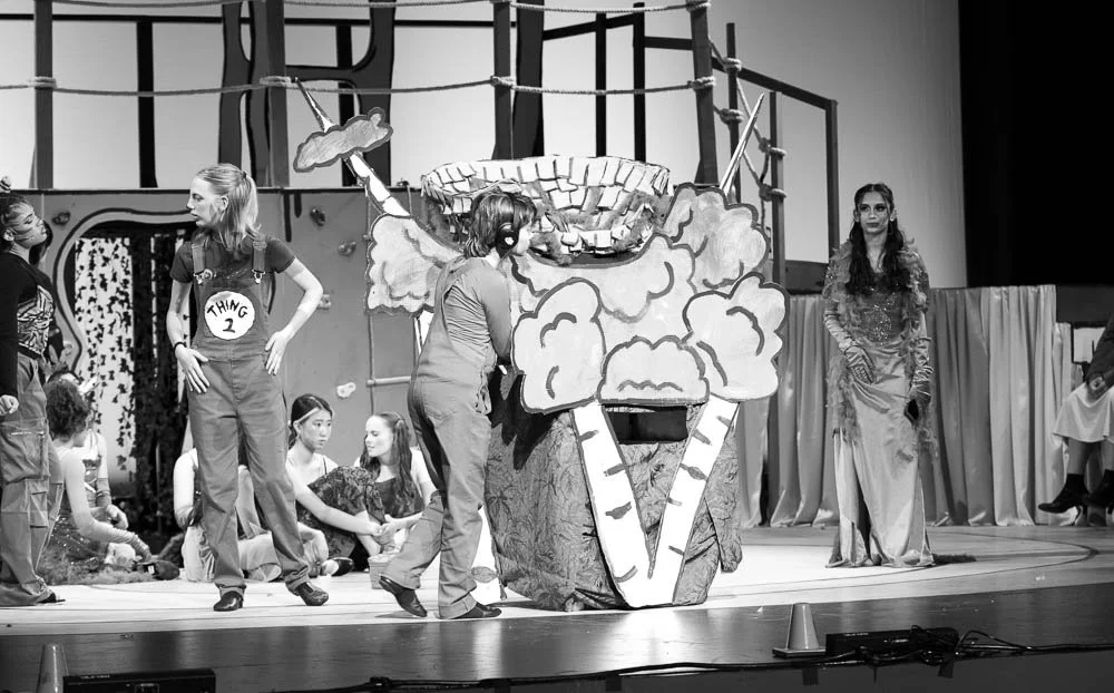 IHSSeussical-40 (87).jpg