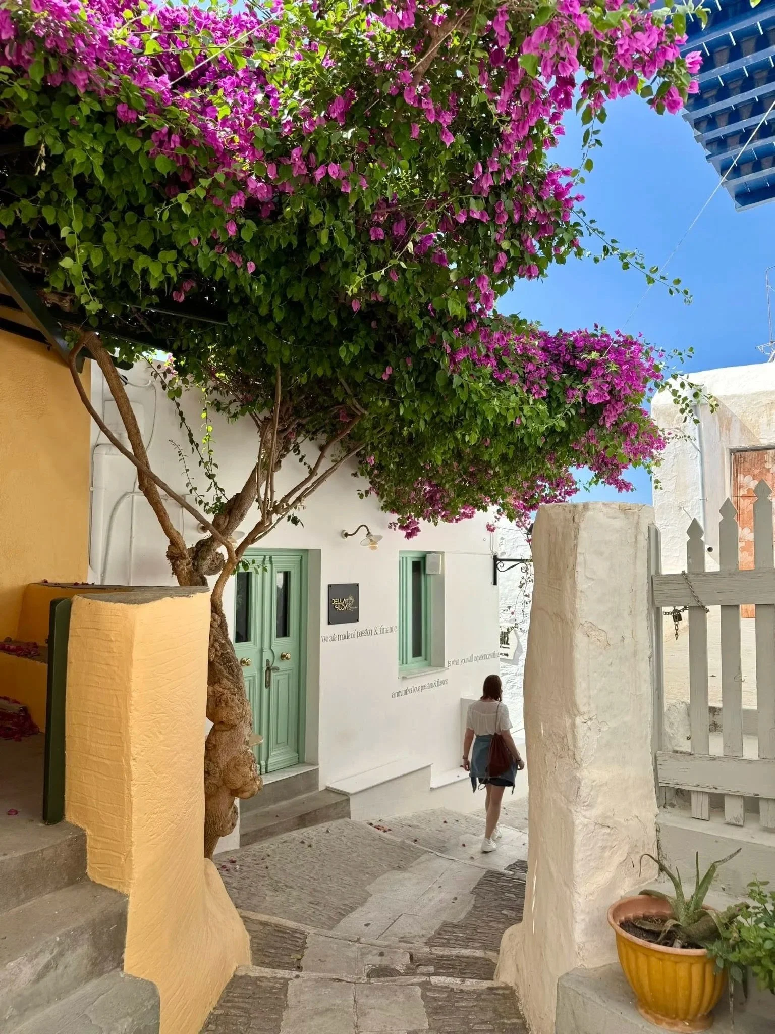 We are not going to Santorini or Mykonos -for a reason. 