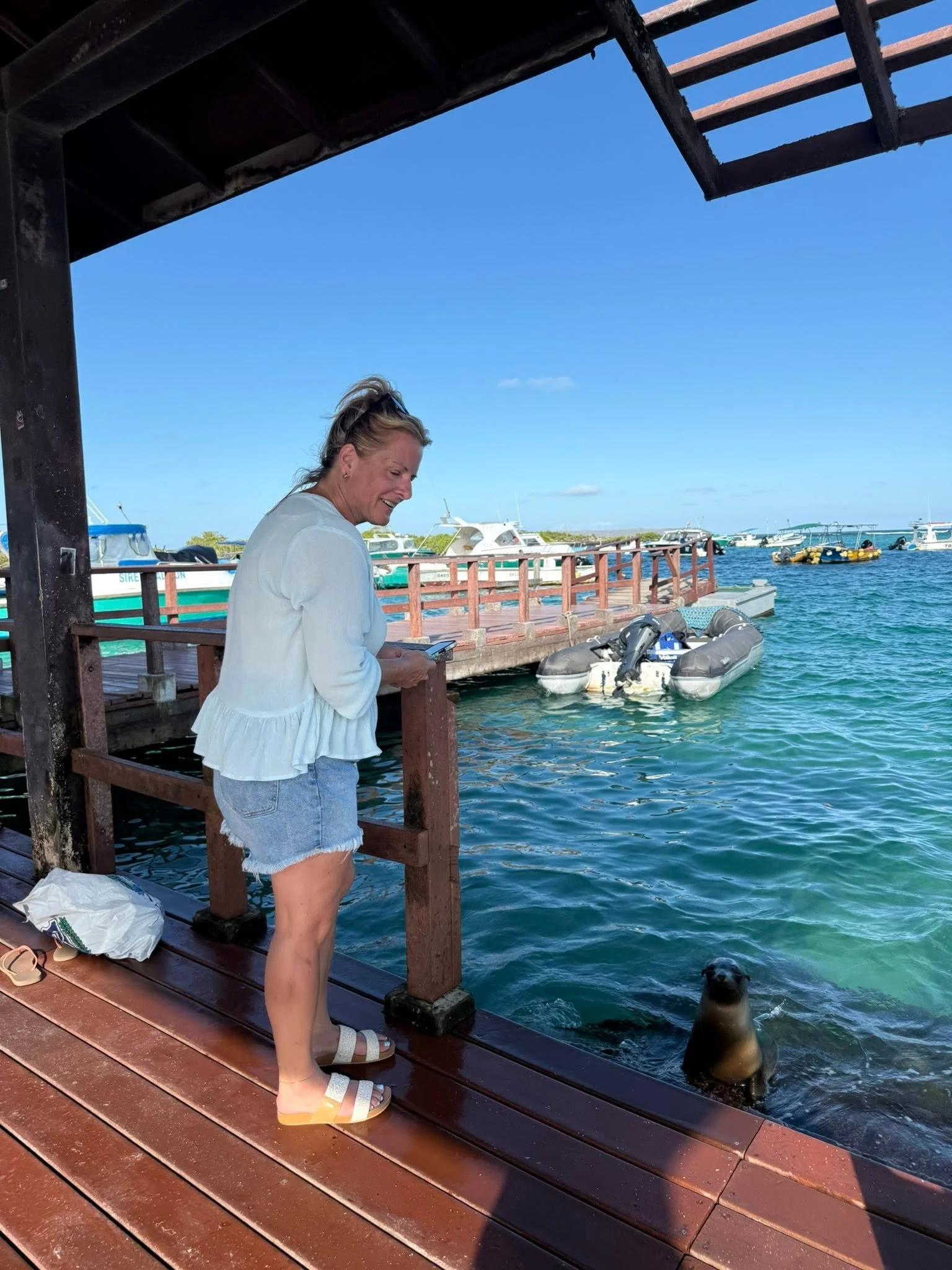 michelle sea lion galapagos.jpg