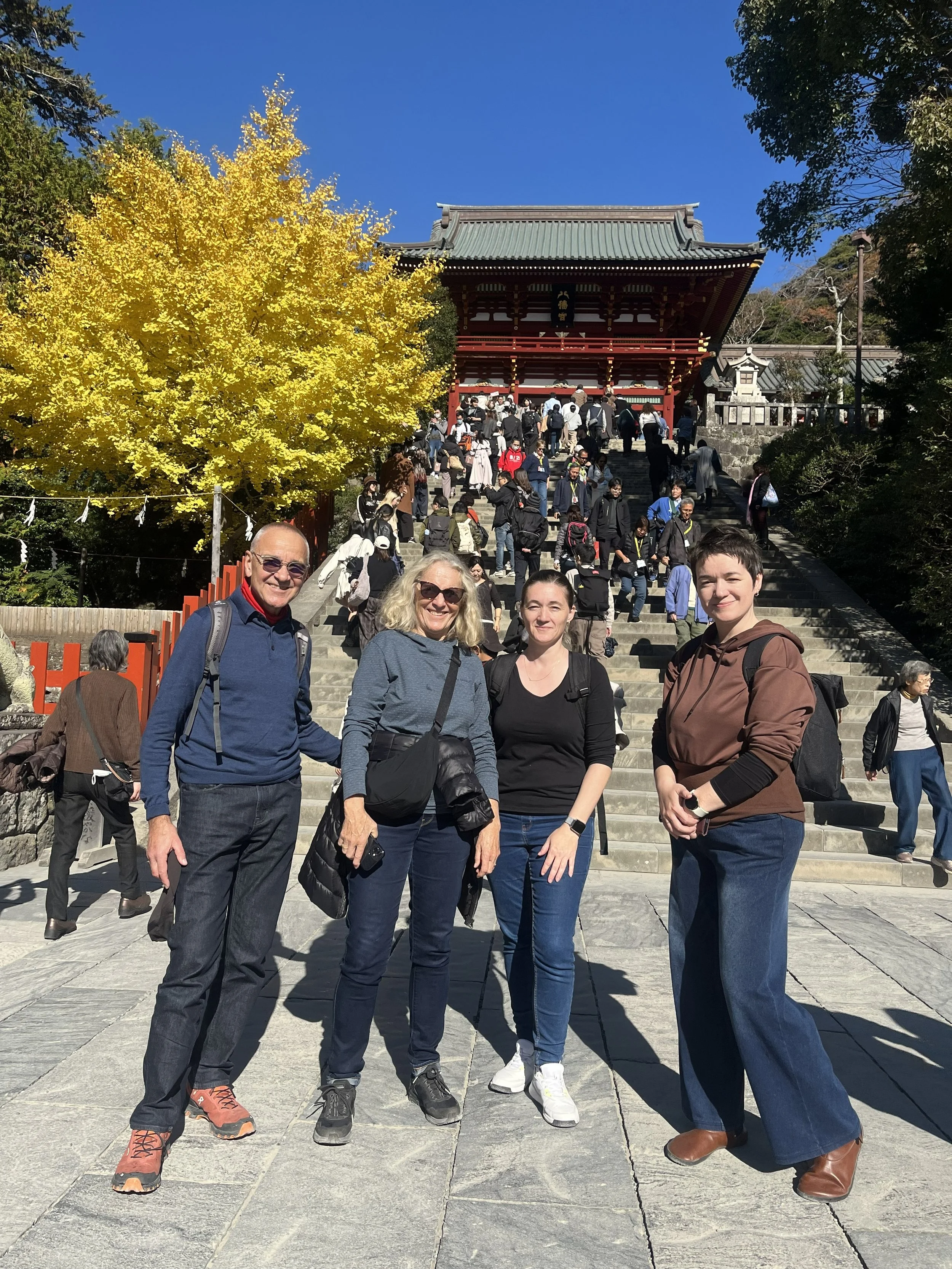 u schodů ke svatyni Tsurugaoka Hachimangū s charakteristicy zežloutlými listy gingo biloby, Kamakura 