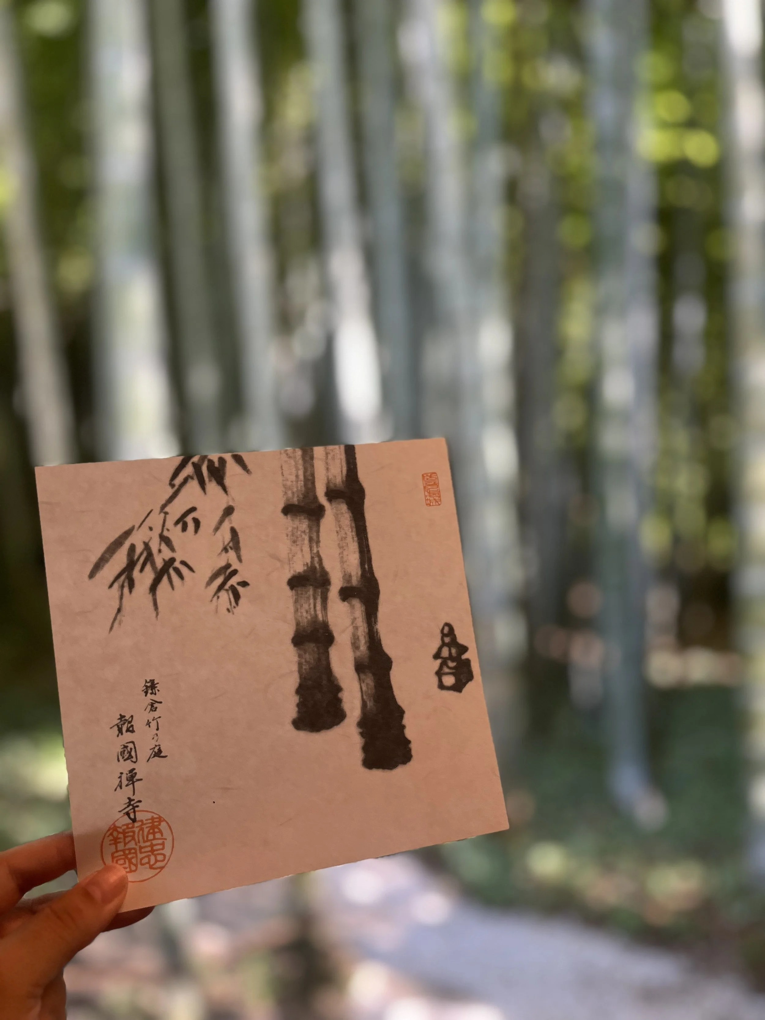 malý bambusový háj u zen budhistického chrámu Hōkoku-ji