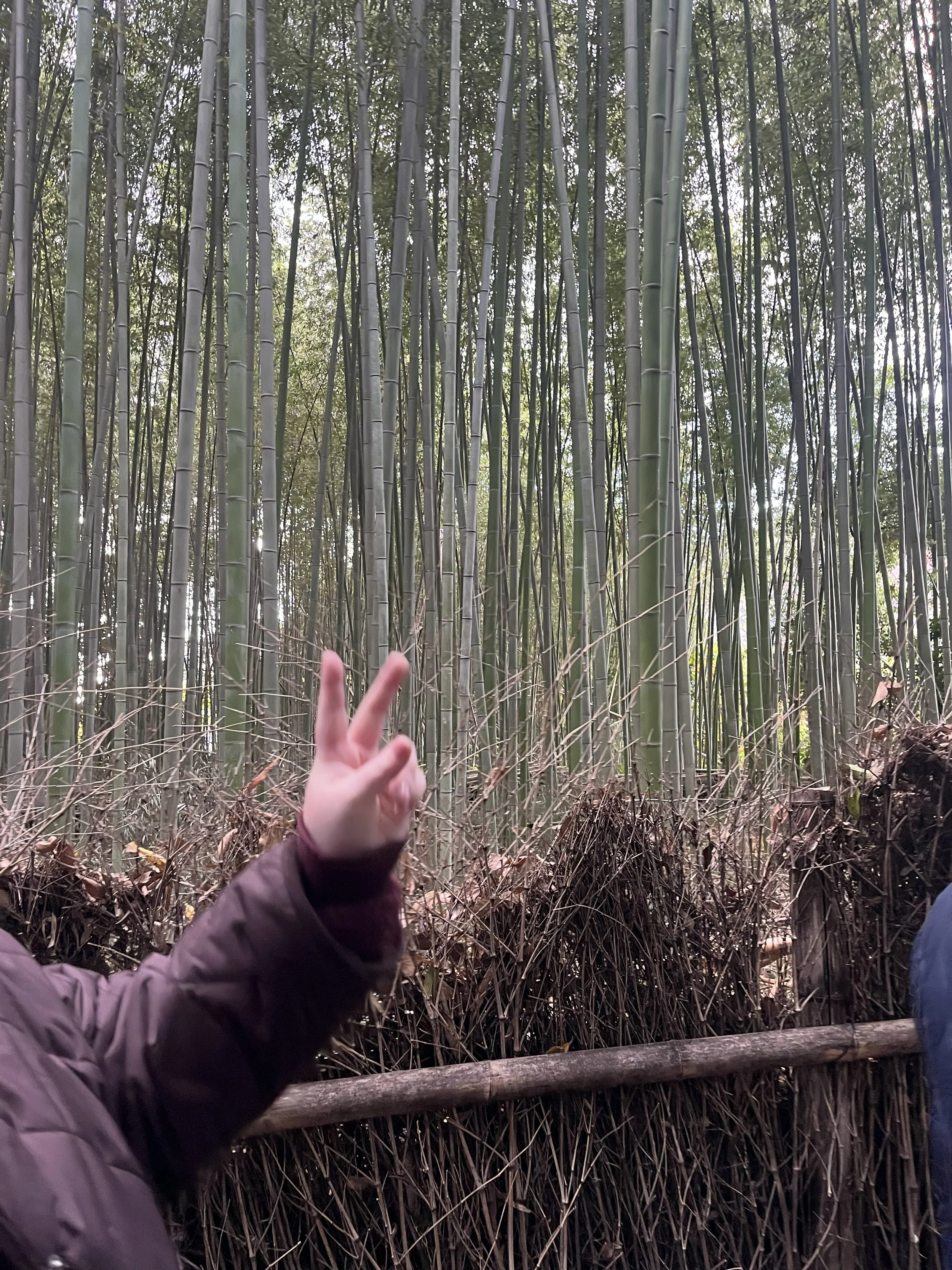 Arashiyama peace out!