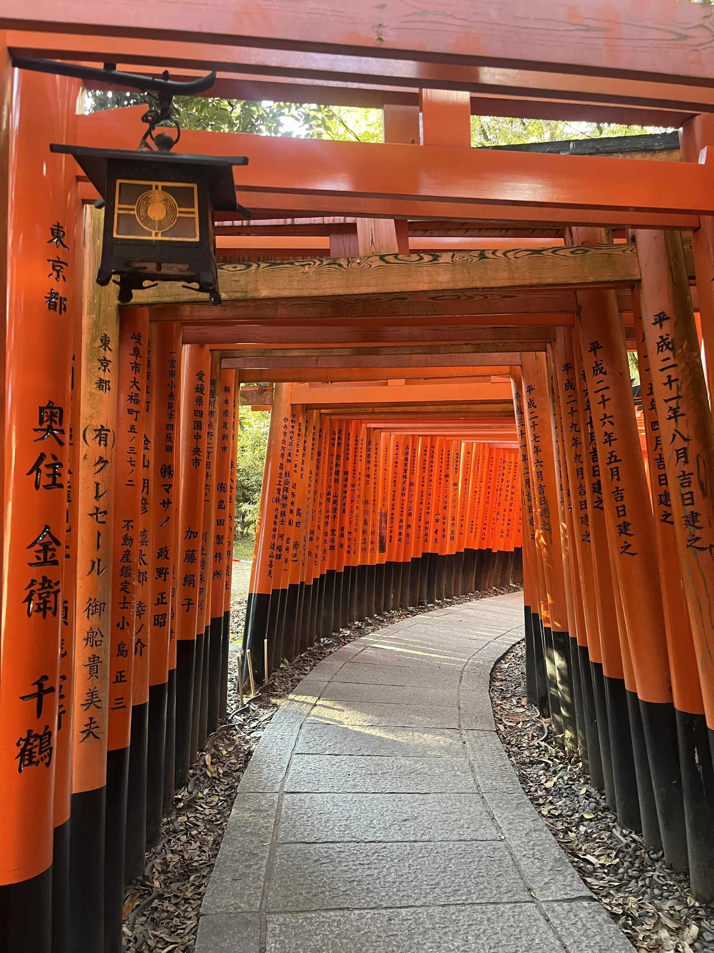 ikonické oranžové bránky torii svatyně Fushimi Inari Taisha, Kyoto