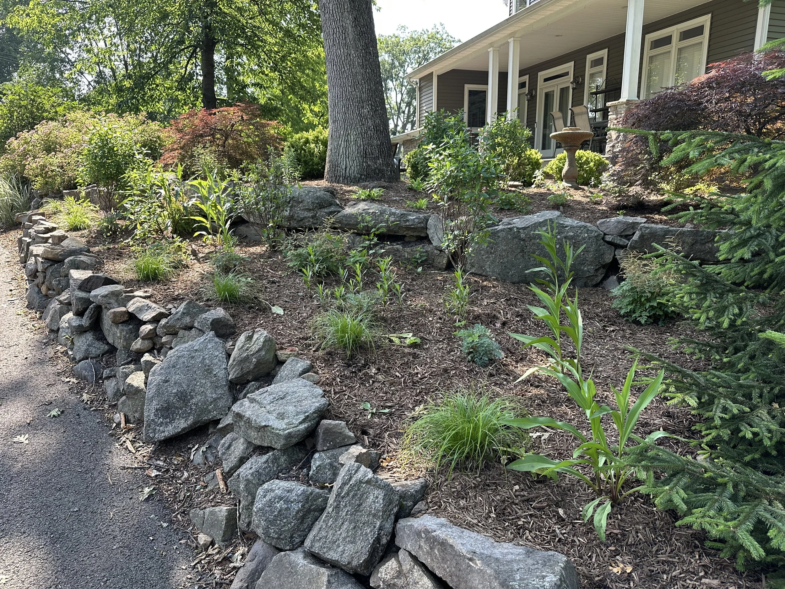 Native Abundance by Cooks Pond