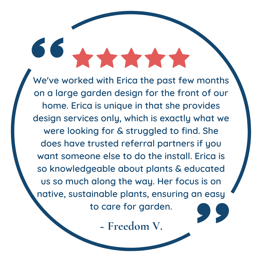 Freedom V Review