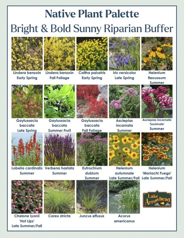 LAC Riparian Plant Palettes.jpg