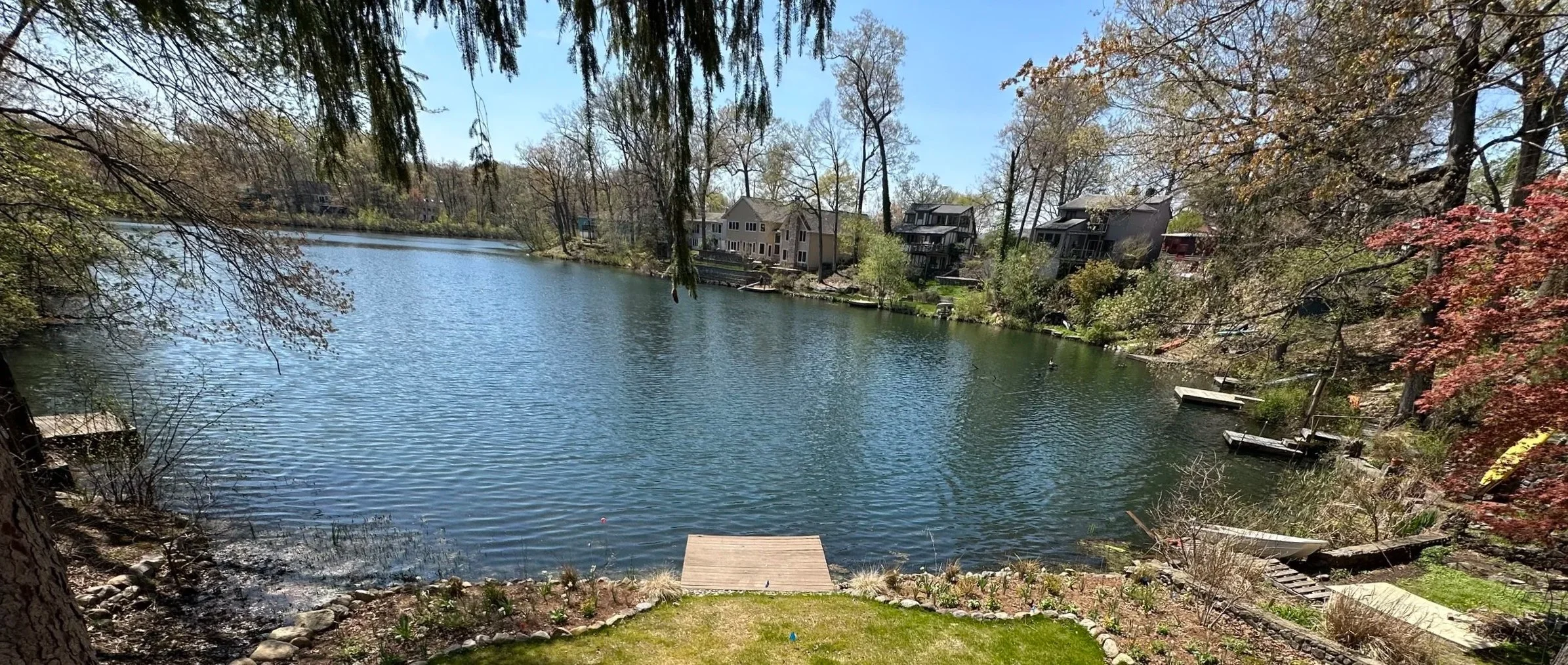NJ Lakeside Planting 101