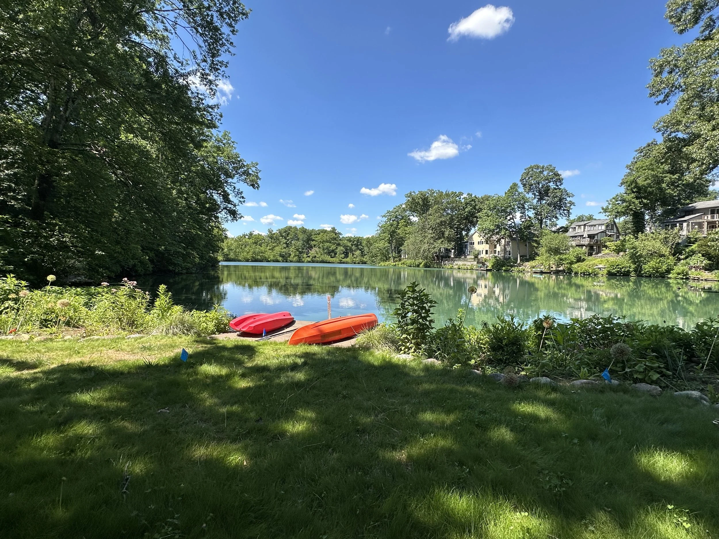 NJ Lakeside Planting 101