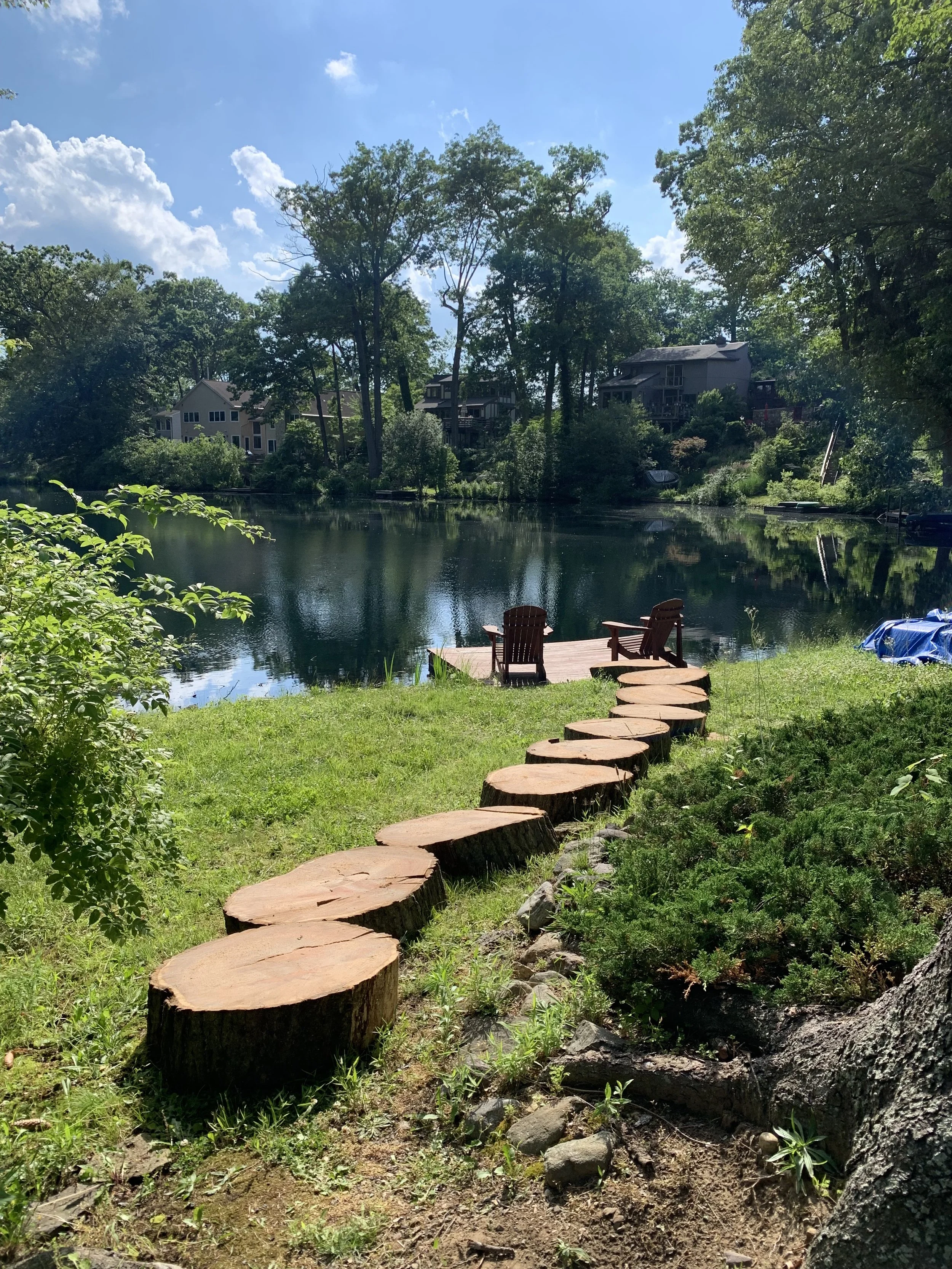 Winding path made from a tree that needed to be cut down