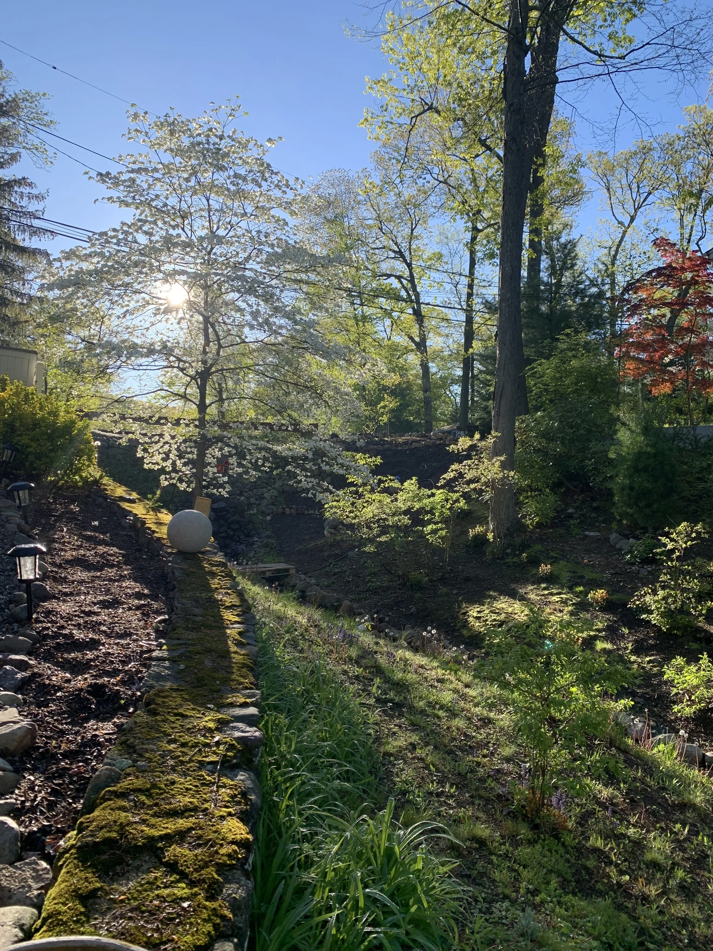 Perfect lighting across an embankment