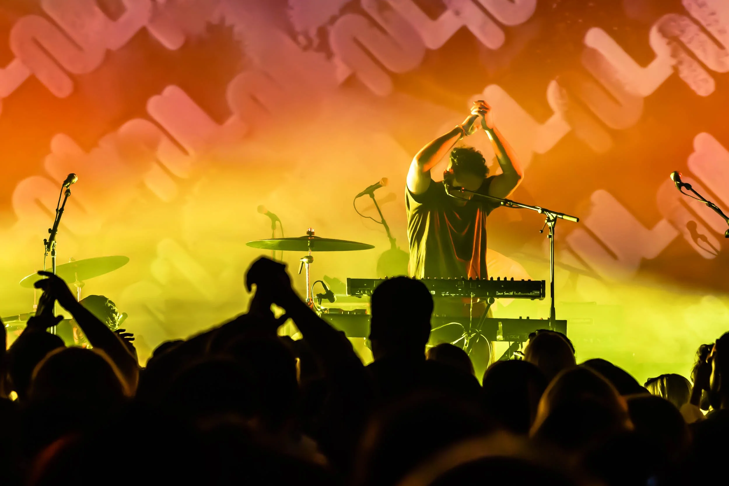 Local.Natives_12-05-22_HF_Debi Del Grande-40.jpg