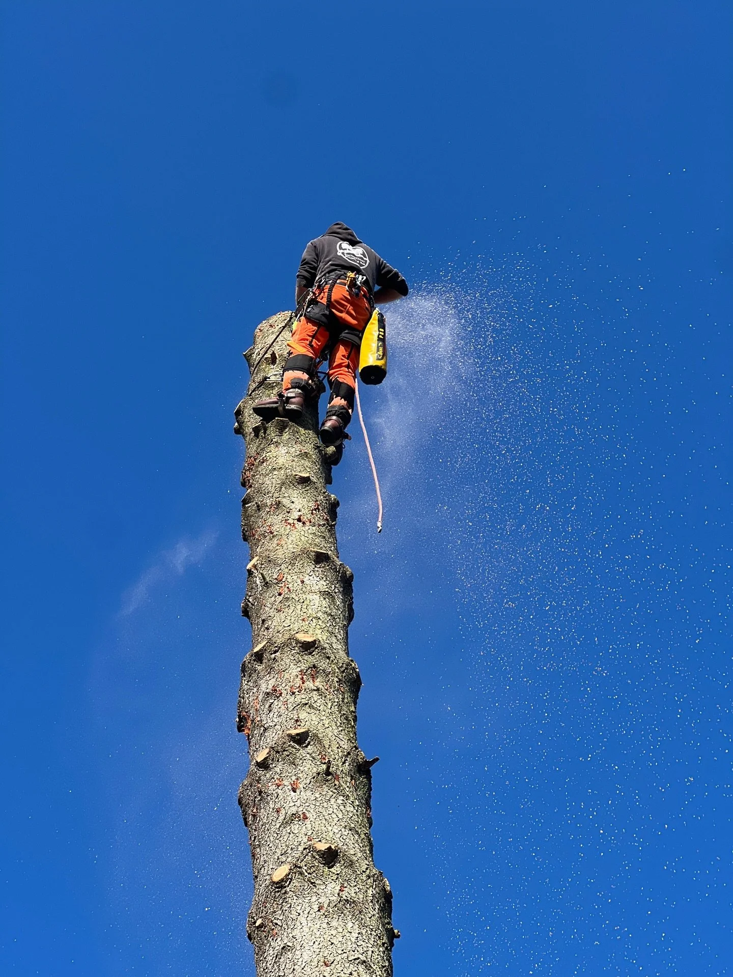 A fresh new website for an old client 🌿💻

After a recent rebrand, I&rsquo;ve just finished designing and building a brand-new website for these tree surgeons. It&rsquo;s been a pleasure working with them again&mdash;especially as I also created the
