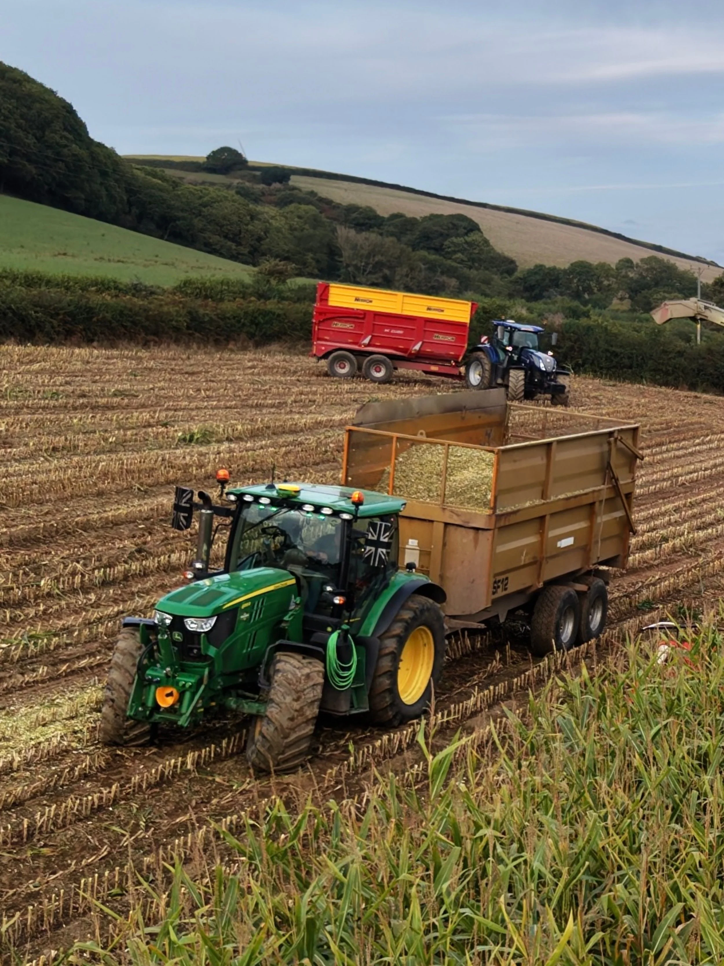 A pair of Jaguars and a pair of Deere. 🐈&zwj;⬛🦌