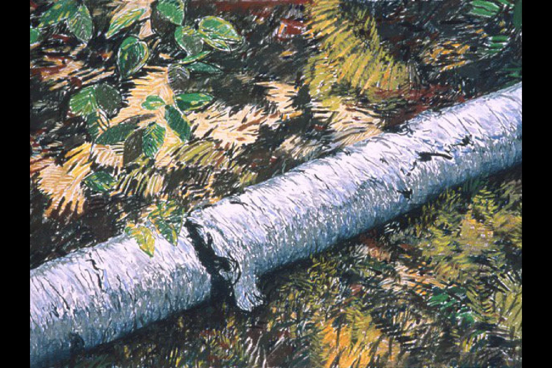 The Forest Floor