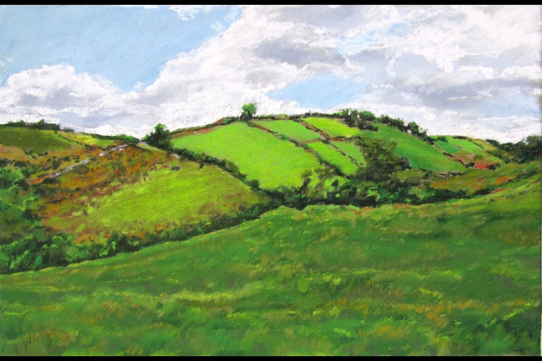 Harmony Field