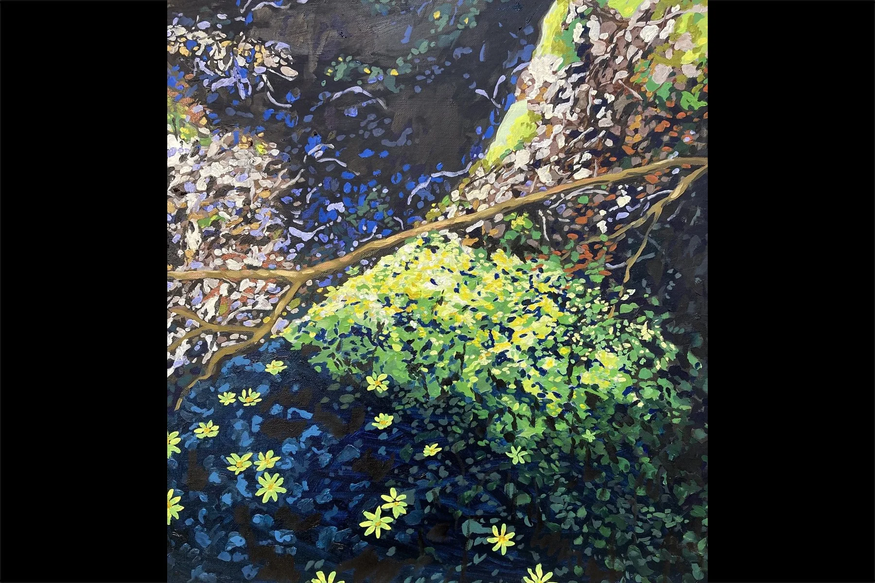 Marsh Marigolds