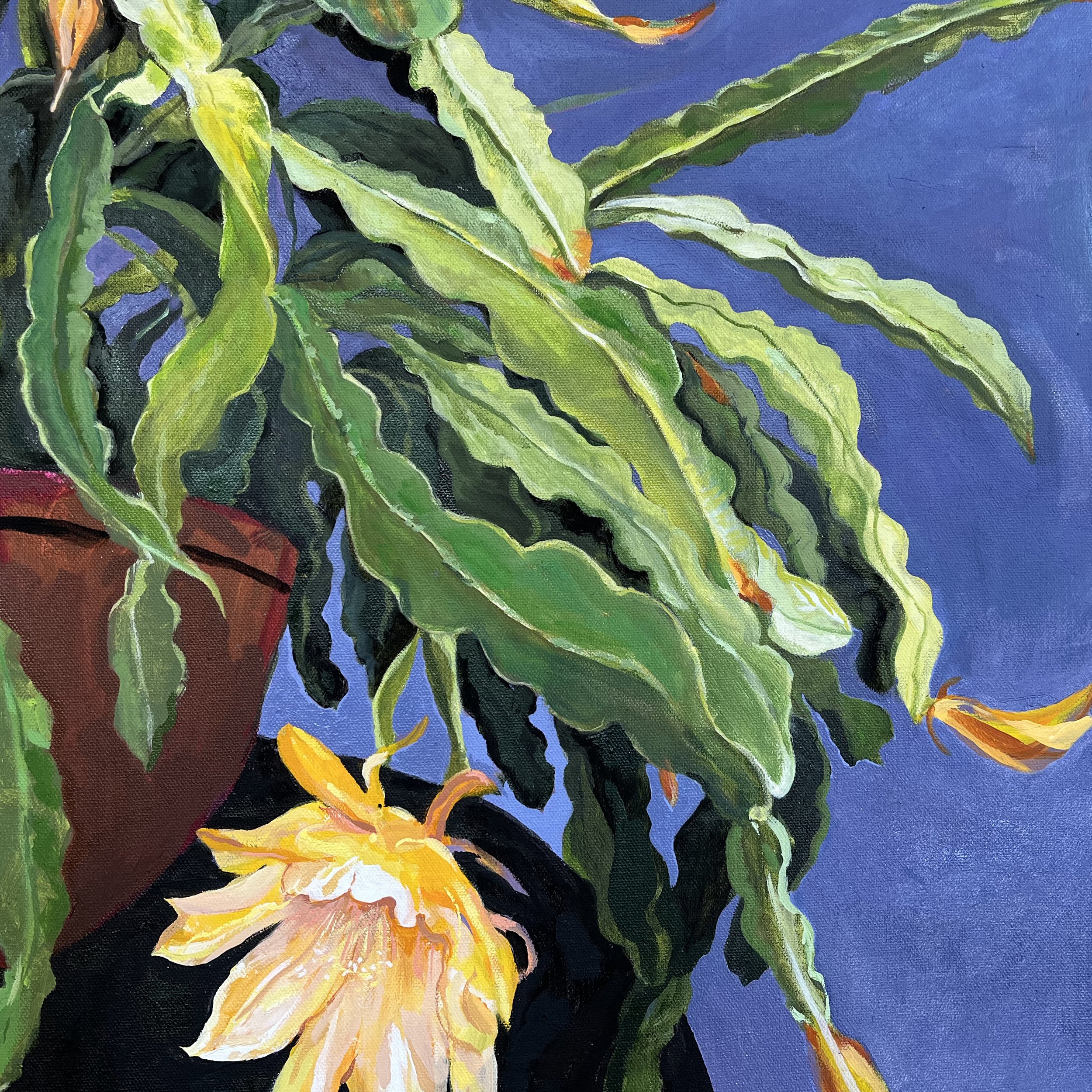 Cactus Flower