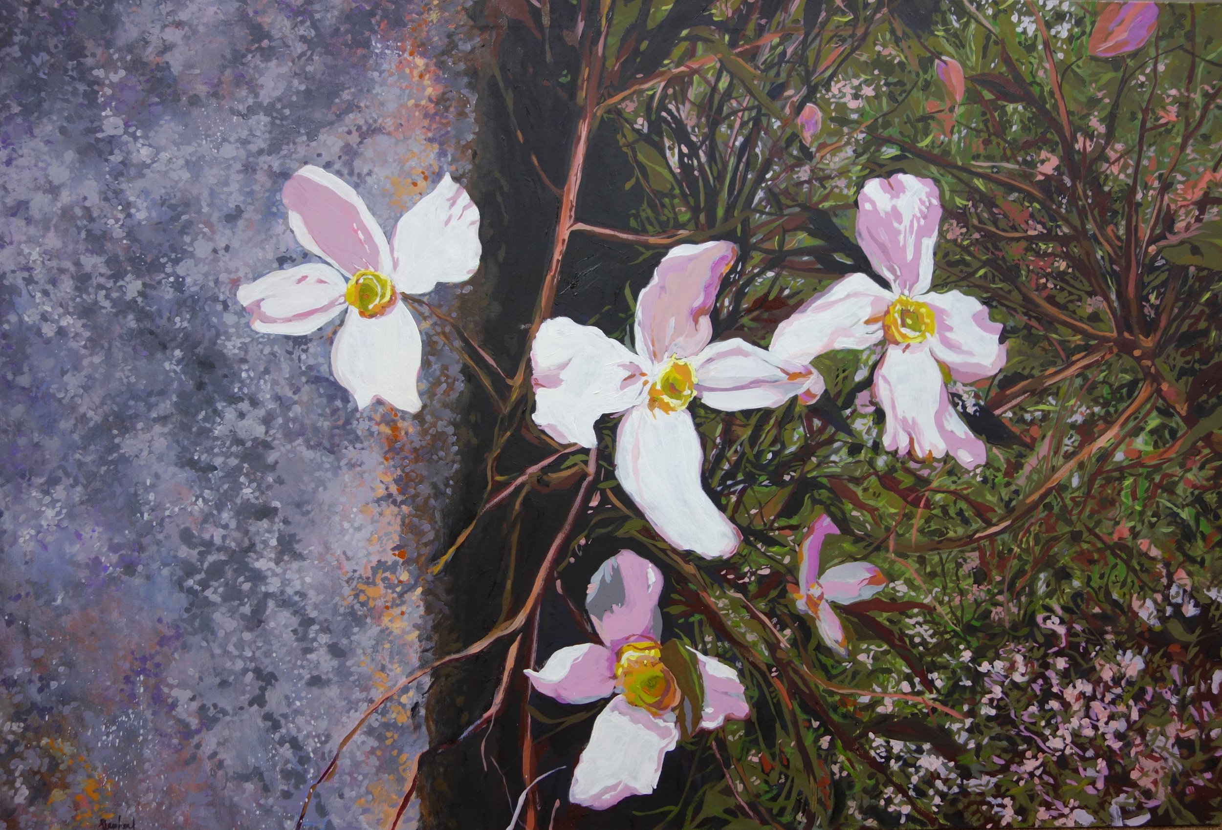 Clematis on Granite.jpg