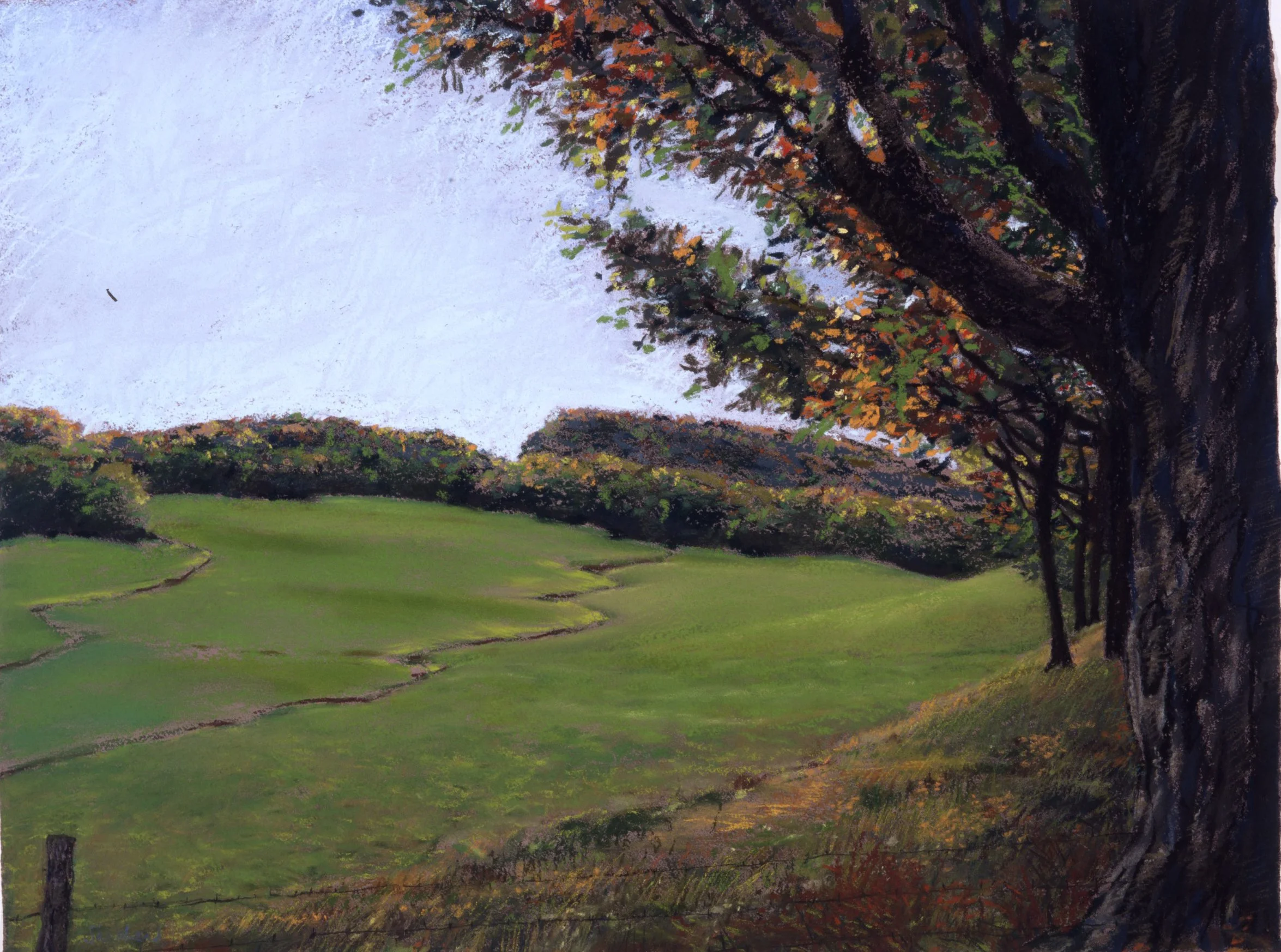 Orson's Field-Pastel Landscape-Sold