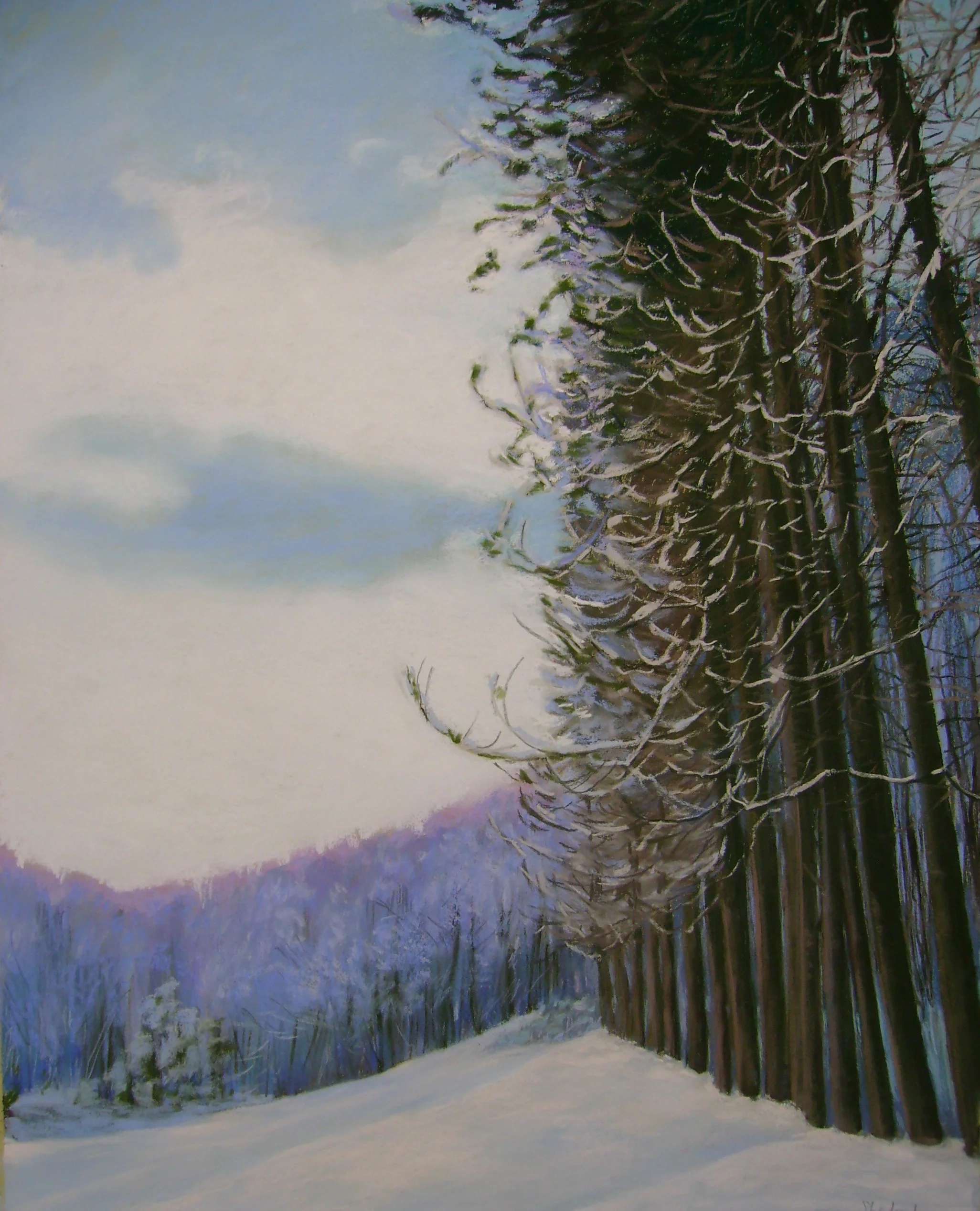 Pine Rows-Pastel Landscape-Sold