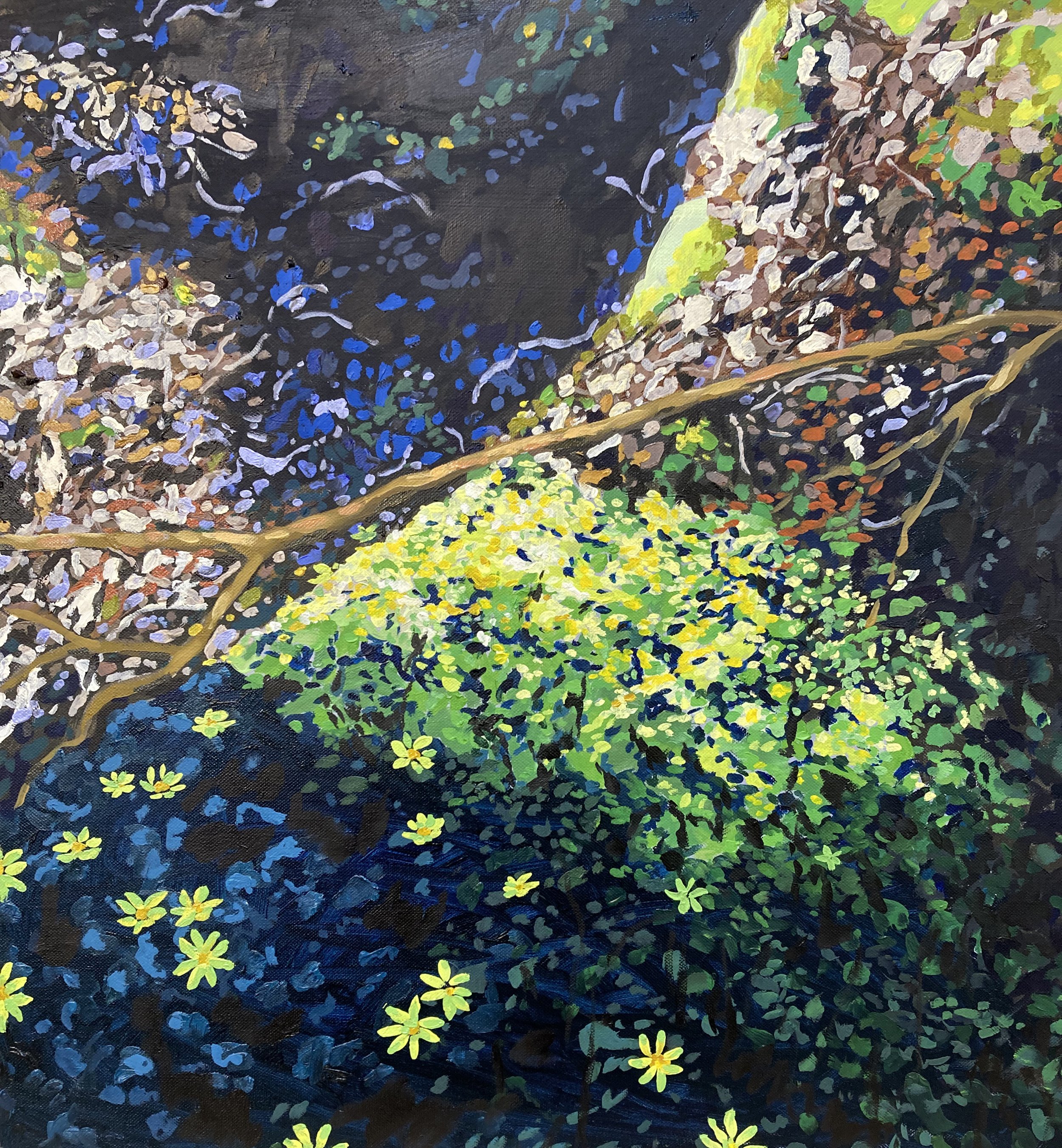 Marsh Marigolds