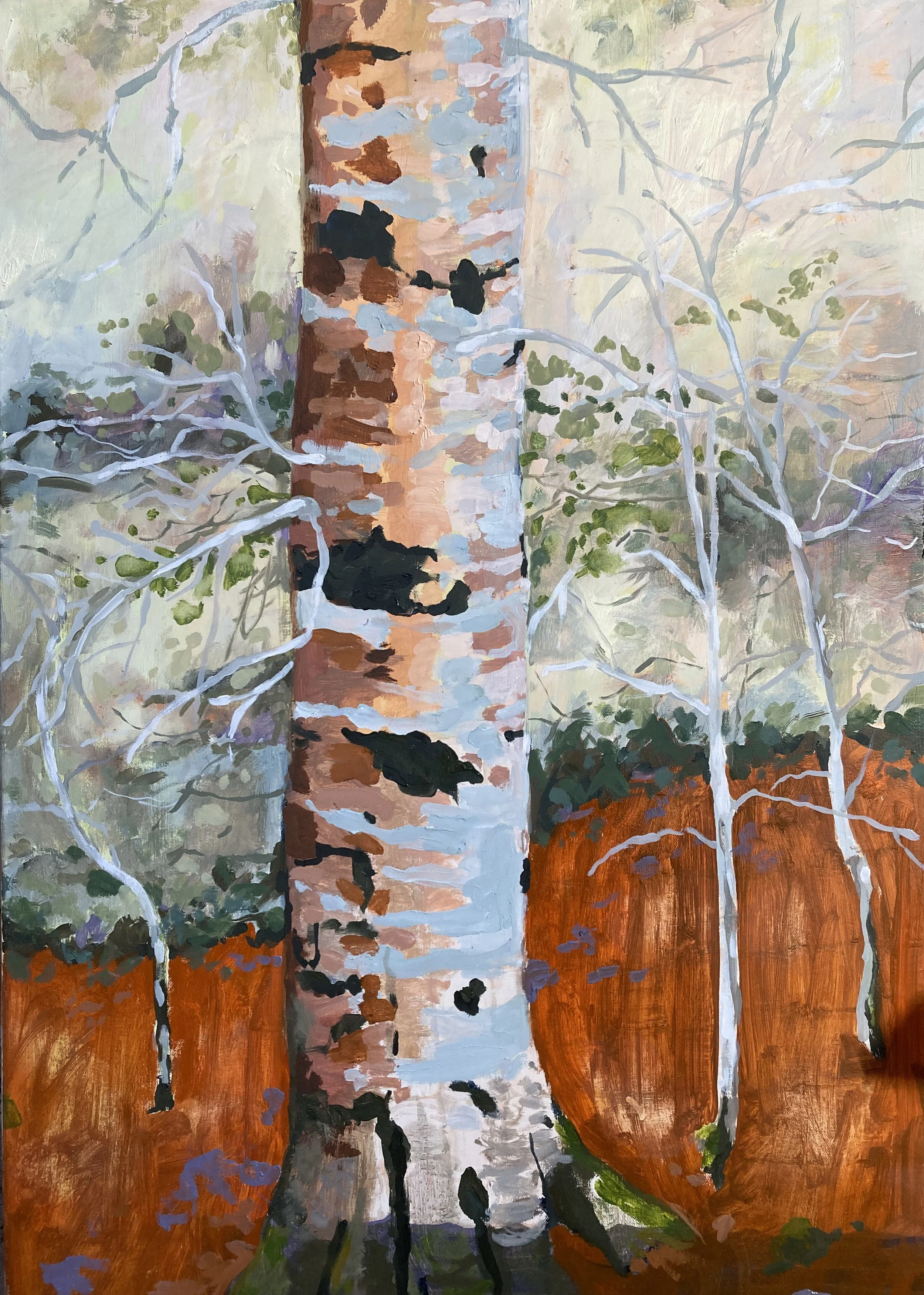 Spring Birch.jpg