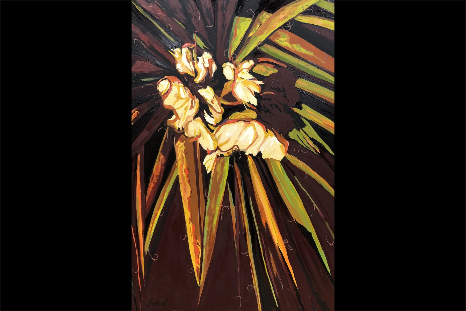 Yucca