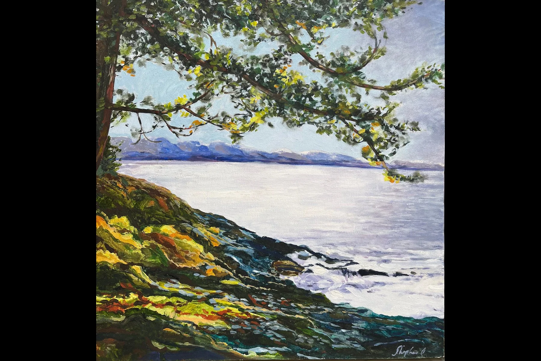 Rough Shore