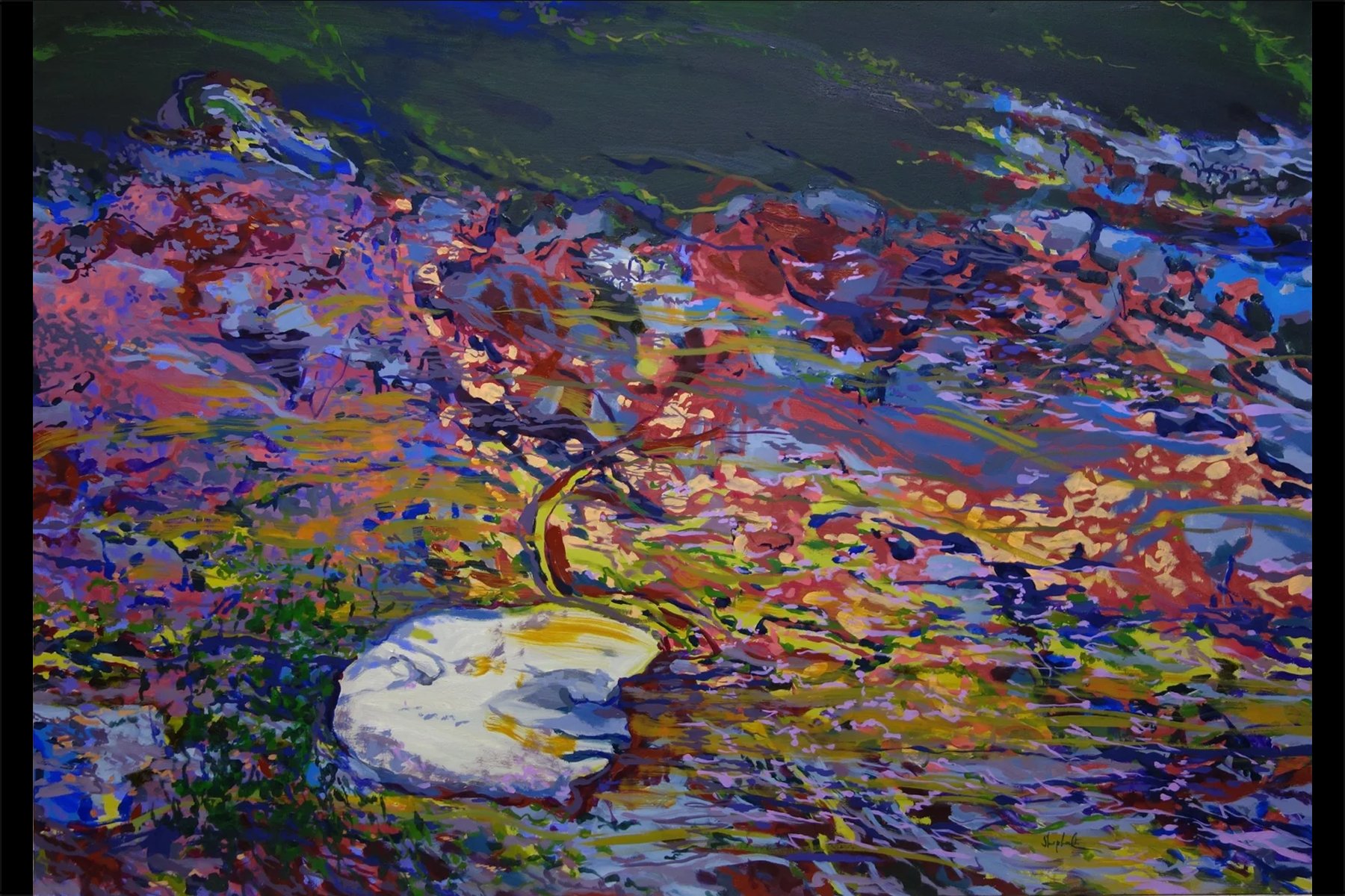 Shoreline