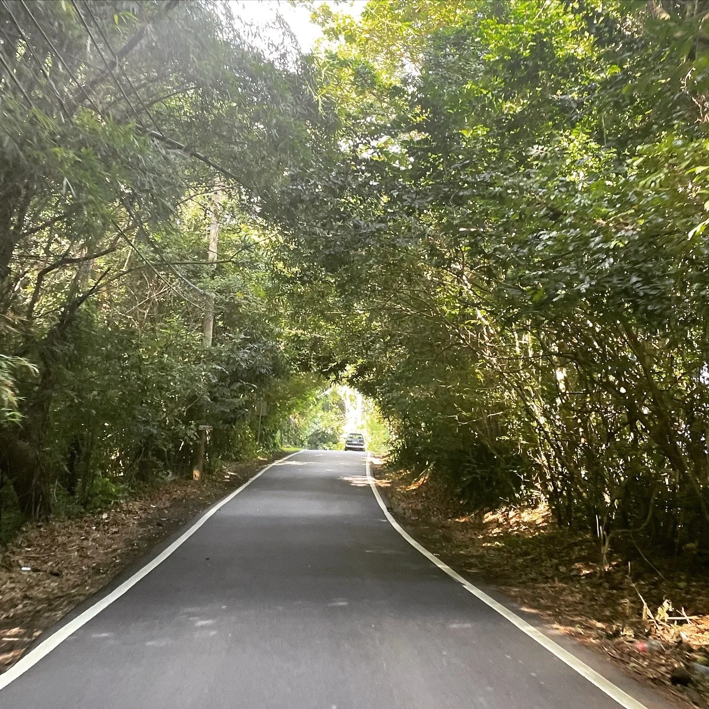 Carreteras a nuevas aventuras. 

#enjoylife #enjoypuertorico #enjoyroadtrip #puertorico #rainforest #photooftheday #instagood