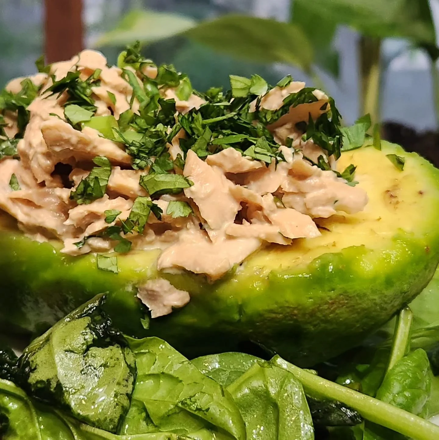 Avocado time.