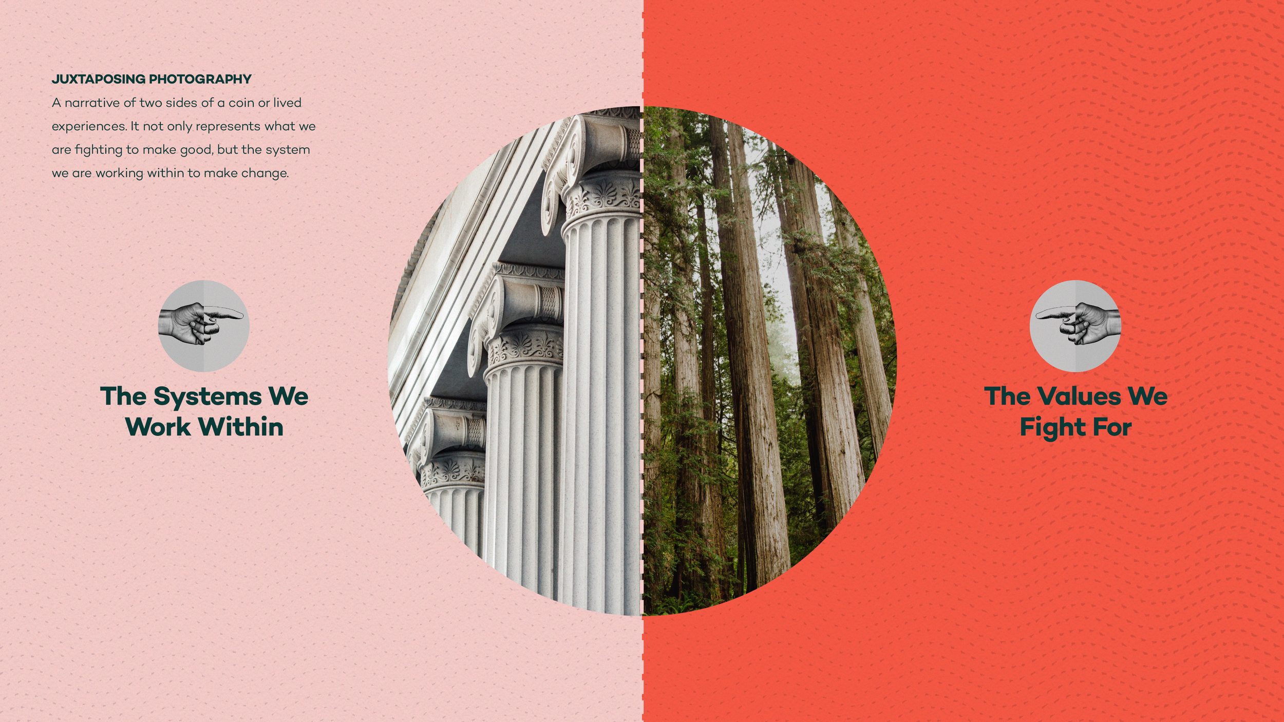 Split image with classical building columns on the left and tall trees on the right, representing contrast between "The Systems We Work Within" and "The Values We Fight For." Includes text describing "Juxtaposing Photography."
