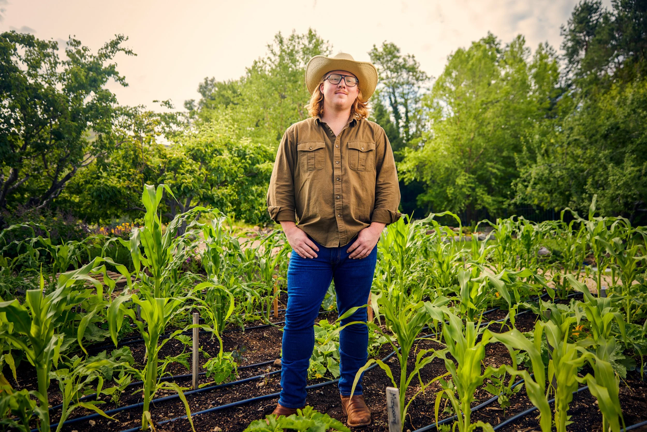 Person wearing a cowboy hat and glasses standing in a cornfield with green trees in the background.