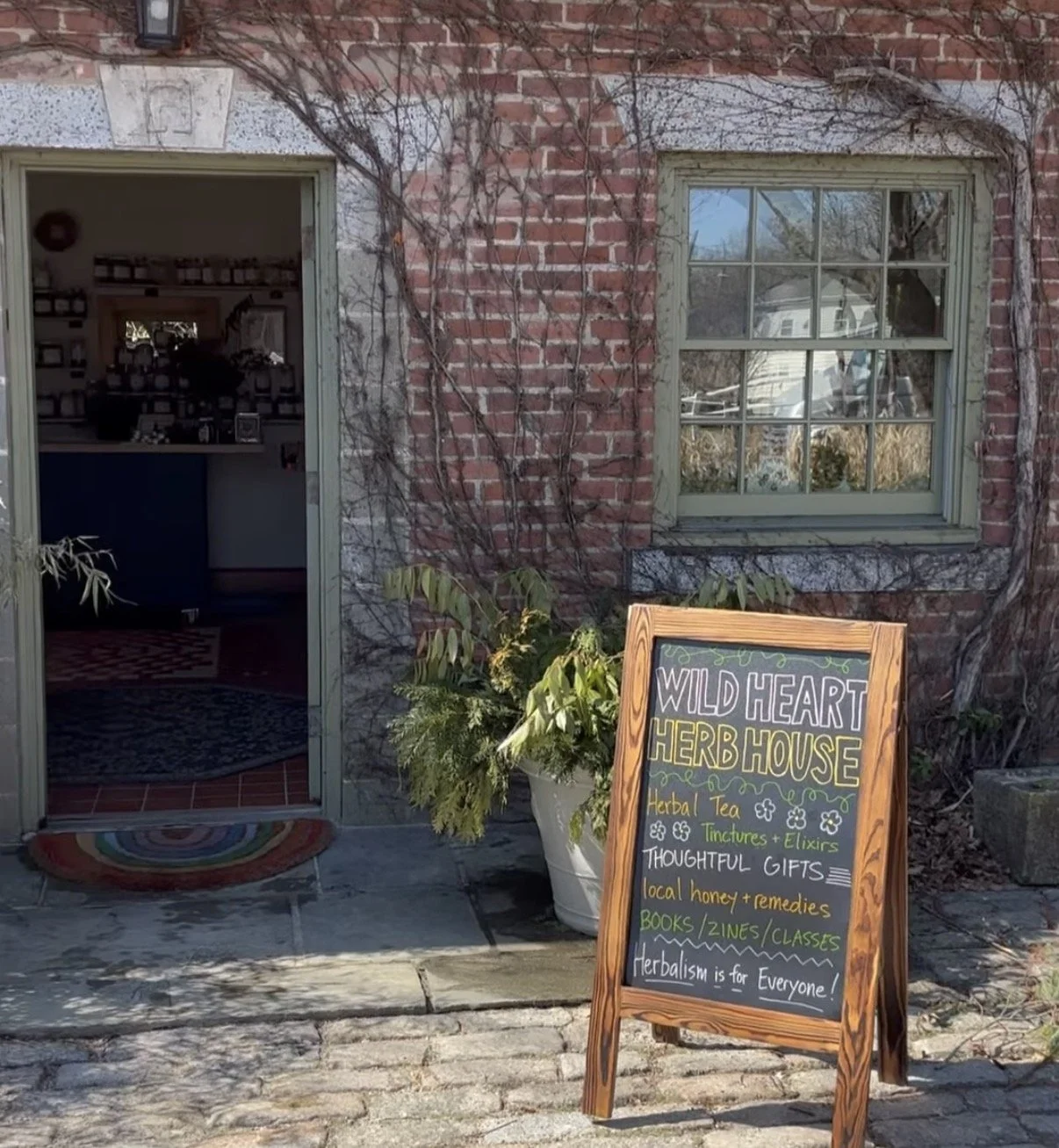 Tea & Talk: A Women's Networking Experience