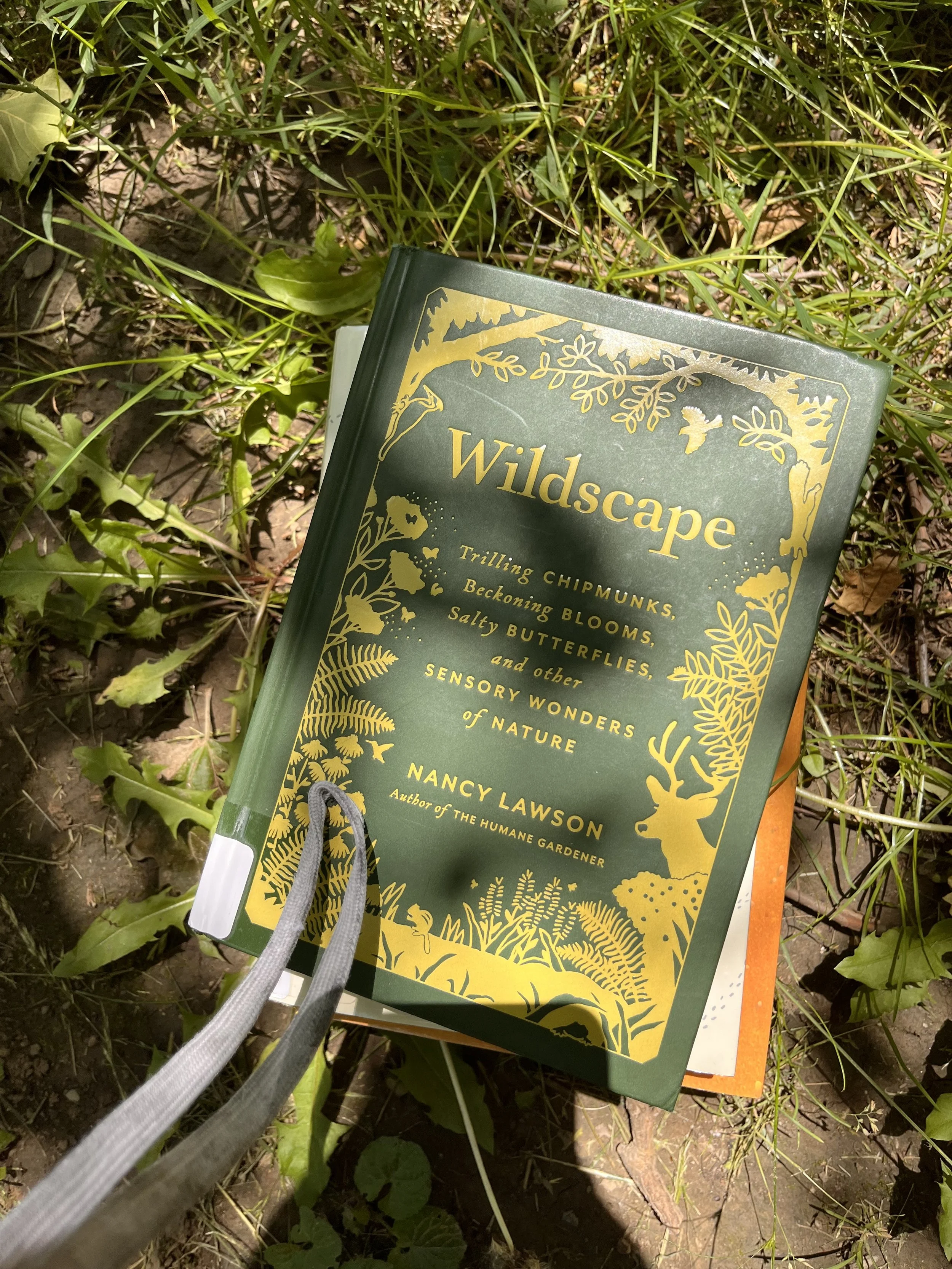 Why You Need Silent Book Club 