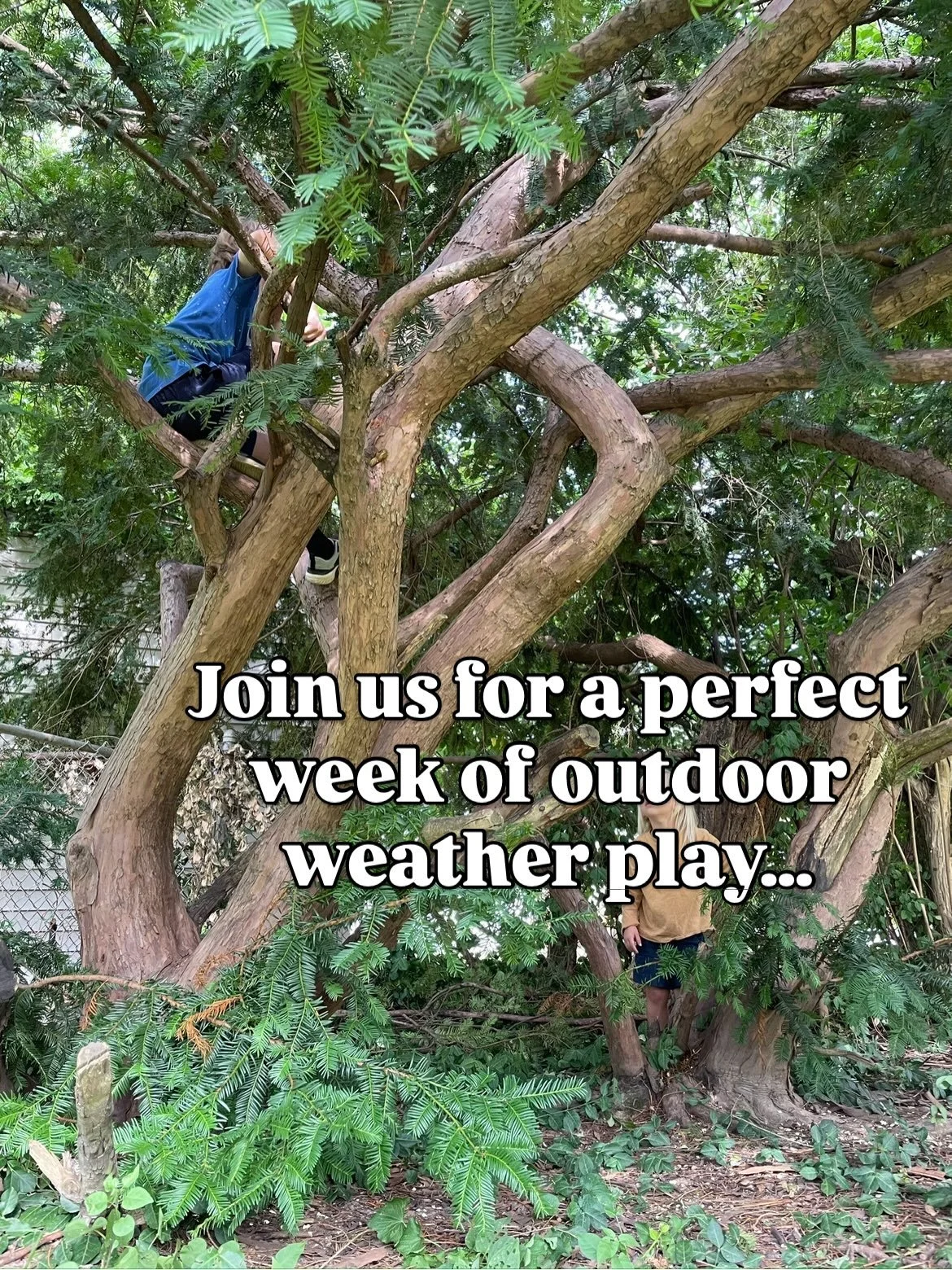 After so much rain in Cincy this past week, we&rsquo;re excited for a few cooler mornings. It&rsquo;s going to be perfect weather for outdoor play so join us this week for our Thursday and Friday morning &ldquo;Care-Free Families&rdquo; playgroups. T