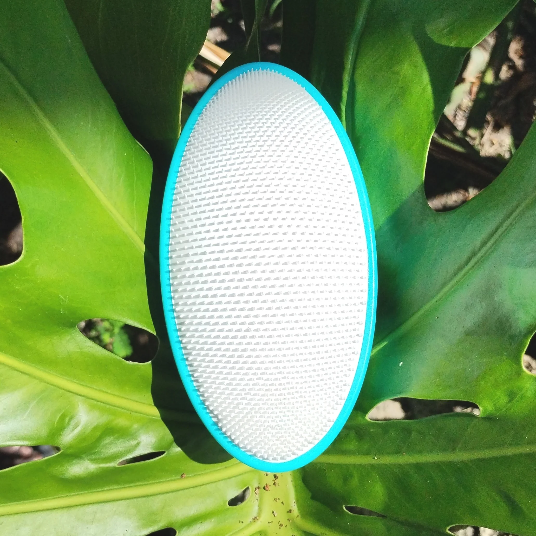 wizker groom ingrown hair brush sea blue