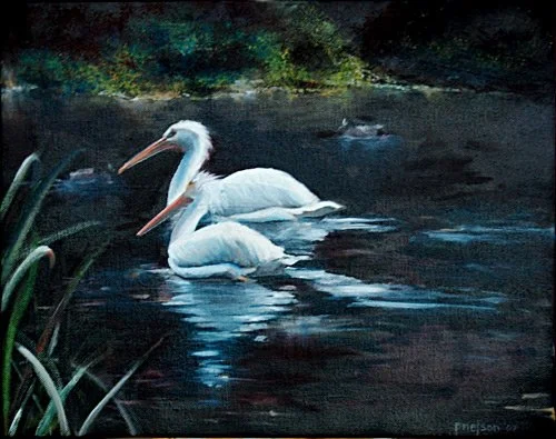 Pelican pair, oil 2007
